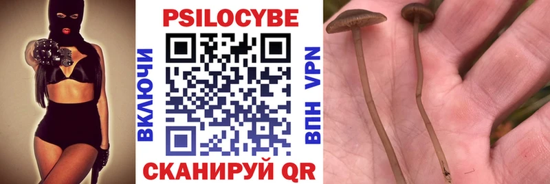 Купить закладки  Новоалтайск  Галлюциногенные грибы GOLDEN TEACHER 